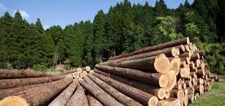 Pump Projects Forestry Pump Projects Forestry