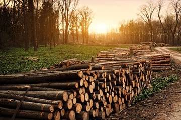 Pump Projects Wood Treatment Pump Projects Wood Treatment
