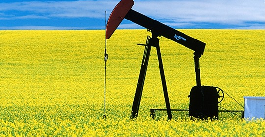 Pump Projects Vacuum Pumps for Oil and Gas Projects Pump Projects Vacuum Pumps for Oil and Gas Projects