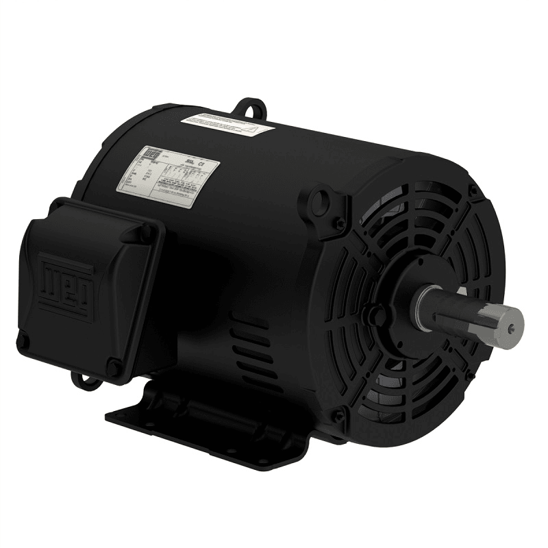 Open NEMA Premium Efficient Motors (W01)
