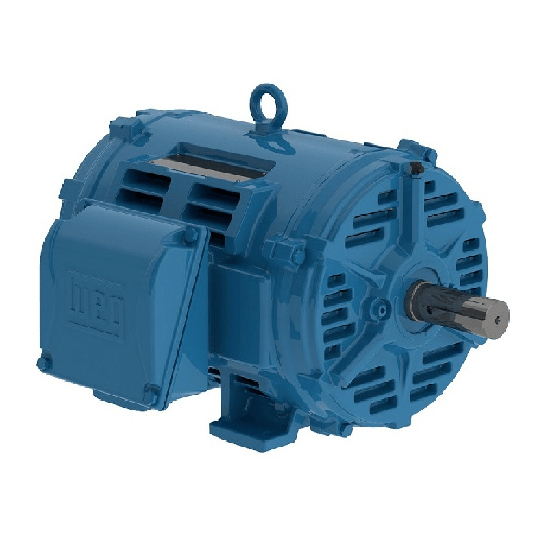 Open NEMA Premium Efficient Motors (W40)