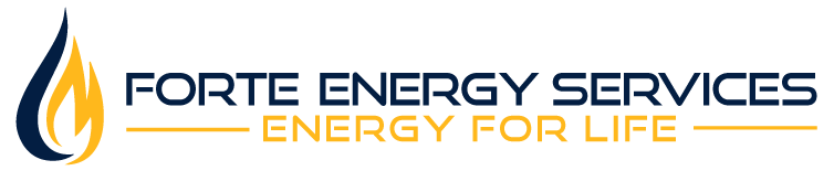 Forte Energy Services Inc. Forte Energy Services Inc.
